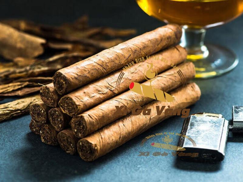 Cận cảnh điếu xì gà tươi “chinh phục” mọi khách hàng